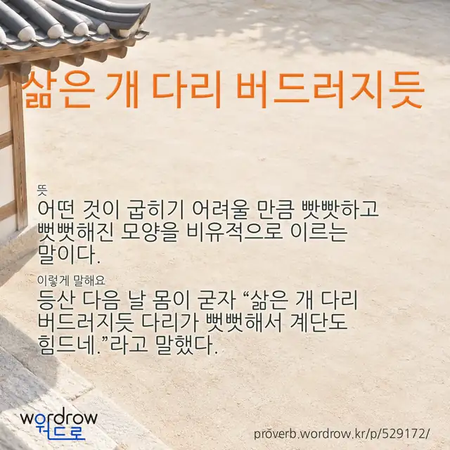 “삶은 개 다리 버드러지듯” 글씨와 뜻·예문이 완성된 속담 영상 포스터
