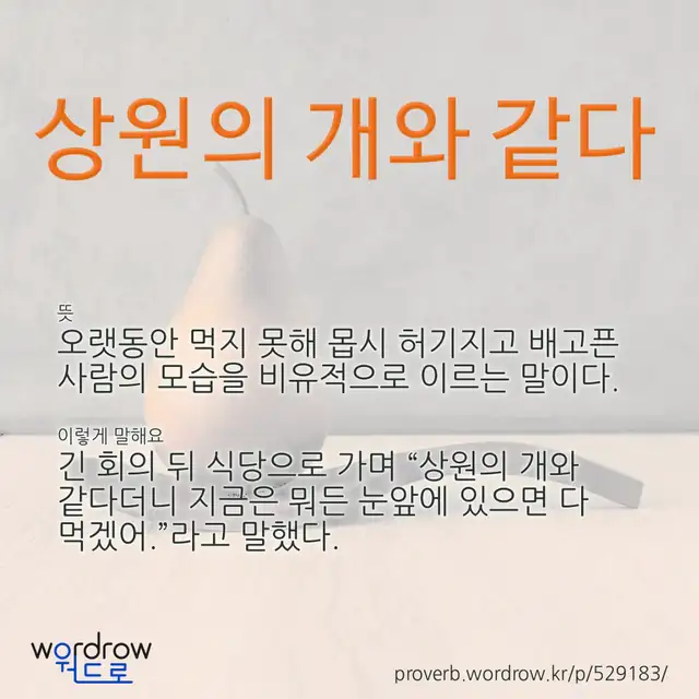 “상원의 개와 같다” 글씨와 뜻·예문이 완성된 속담 영상 포스터