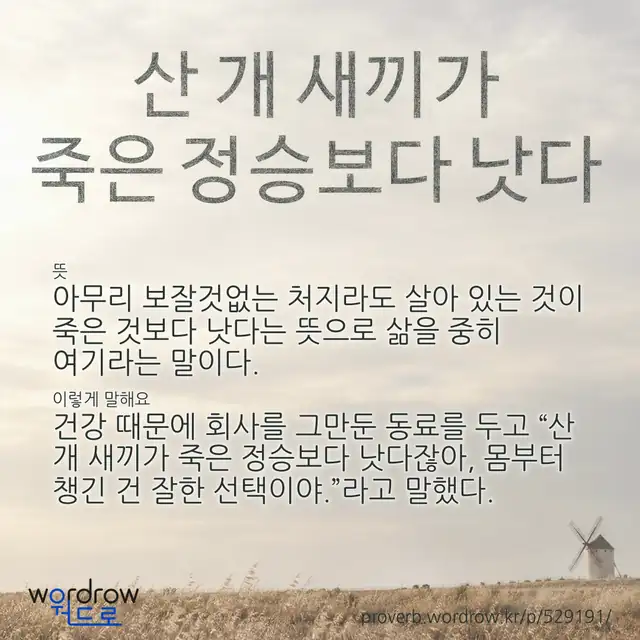 “산 개 새끼가 죽은 정승보다 낫다” 글씨와 뜻·예문이 완성된 속담 영상 포스터