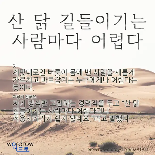 “산 닭 길들이기는 사람마다 어렵다” 글씨와 뜻·예문이 완성된 속담 영상 포스터