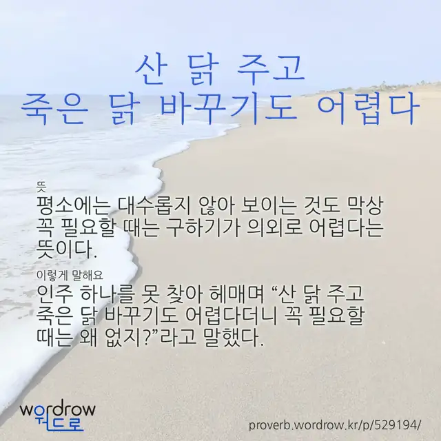 “산 닭 주고 죽은 닭 바꾸기도 어렵다” 글씨와 뜻·예문이 완성된 속담 영상 포스터