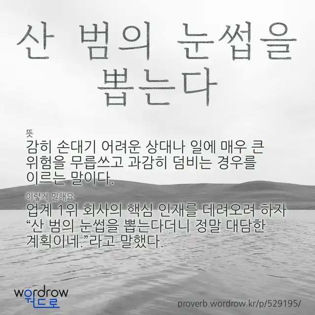 “산 범의 눈썹을 뽑는다” 글씨와 뜻·예문이 완성된 속담 영상 포스터