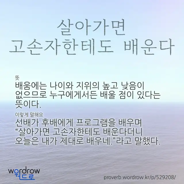 “살아가면 고손자한테도 배운다” 글씨와 뜻·예문이 완성된 속담 영상 포스터