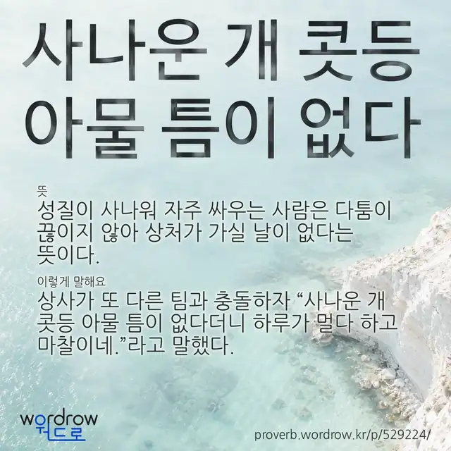 “사나운 개 콧등 아물 틈이 없다” 글씨와 뜻·예문이 완성된 속담 영상 포스터