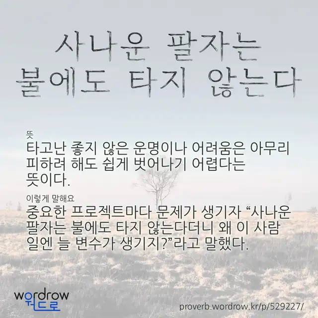 “사나운 팔자는 불에도 타지 않는다” 글씨와 뜻·예문이 완성된 속담 영상 포스터