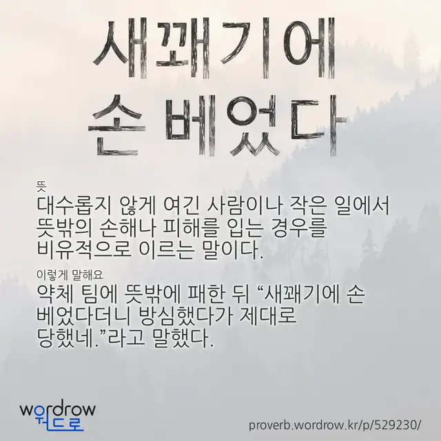 “새꽤기에 손 베었다” 글씨와 뜻·예문이 완성된 속담 영상 포스터