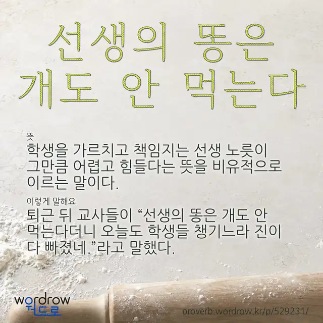“선생의 똥은 개도 안 먹는다” 글씨와 뜻·예문이 완성된 속담 영상 포스터