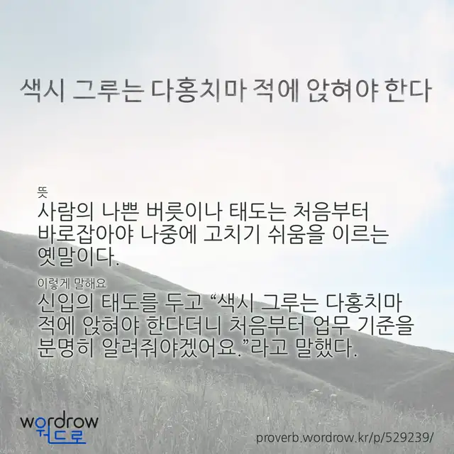 “색시 그루는 다홍치마 적에 앉혀야 한다” 글씨와 뜻·예문이 완성된 속담 영상 포스터