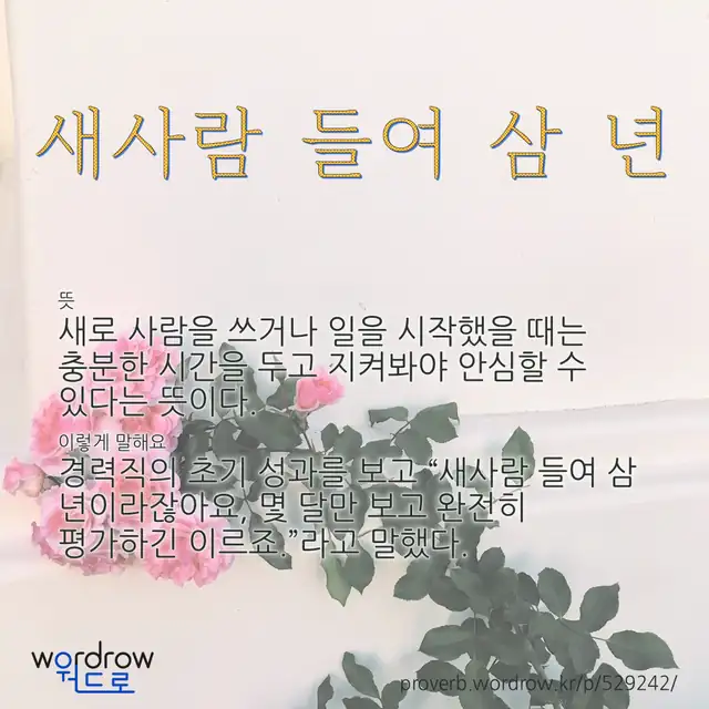 “새사람 들여 삼 년” 글씨와 뜻·예문이 완성된 속담 영상 포스터