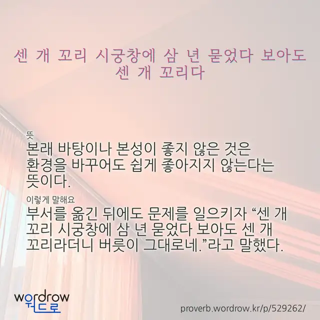 “센 개 꼬리 시궁창에 삼 년 묻었다 보아도 센 개 꼬리다” 글씨와 뜻·예문이 완성된 속담 영상 포스터