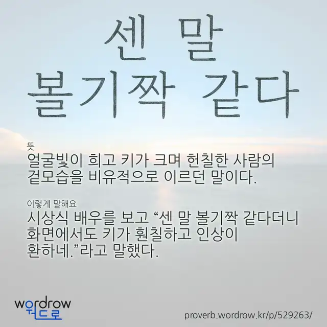 “센 말 볼기짝 같다” 글씨와 뜻·예문이 완성된 속담 영상 포스터