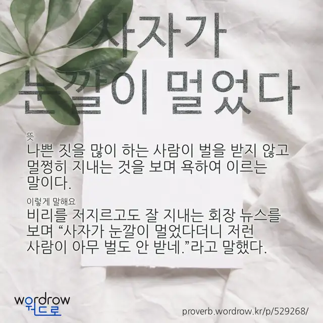 “사자가 눈깔이 멀었다” 글씨와 뜻·예문이 완성된 속담 영상 포스터