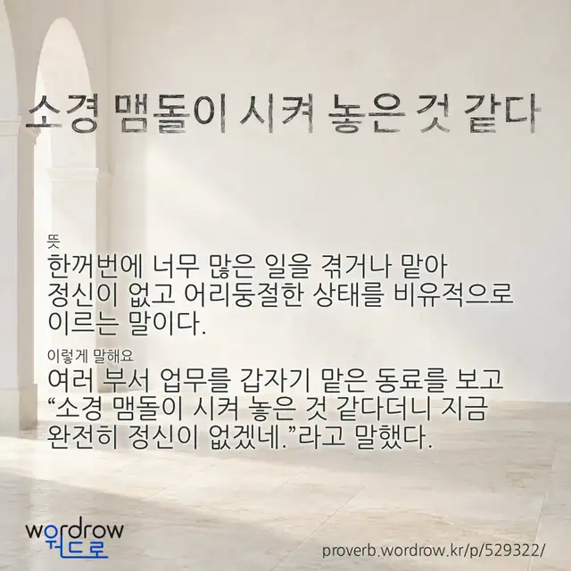 “소경 맴돌이 시켜 놓은 것 같다” 글씨와 뜻·예문이 완성된 속담 영상 포스터