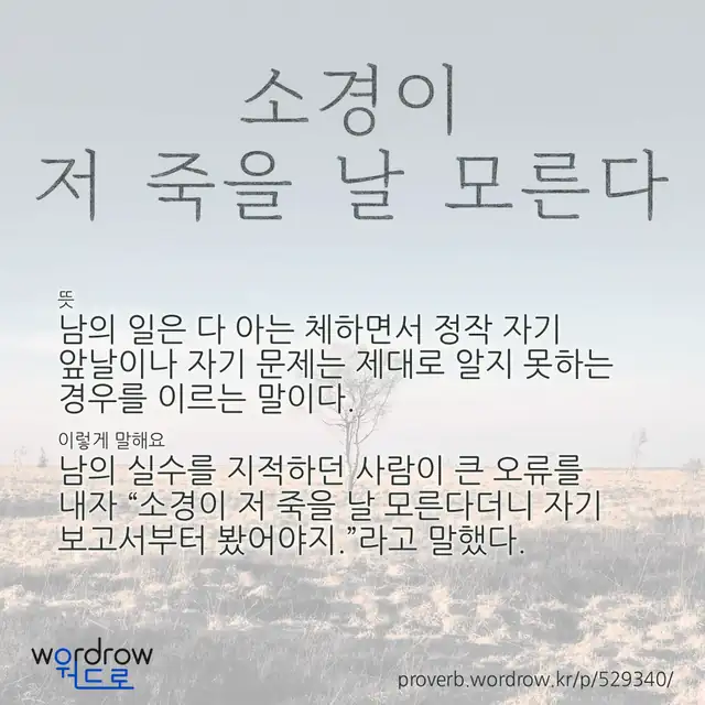 “소경이 저 죽을 날 모른다” 글씨와 뜻·예문이 완성된 속담 영상 포스터