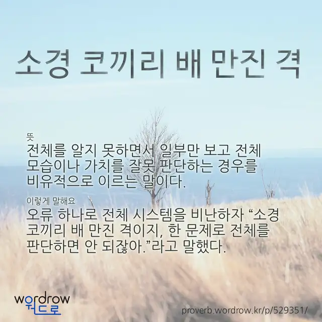 “소경 코끼리 배 만진 격” 글씨와 뜻·예문이 완성된 속담 영상 포스터