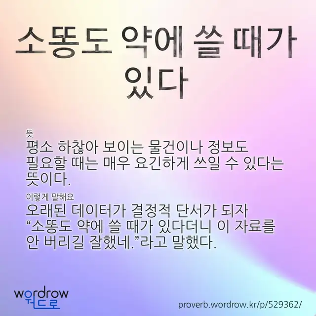 “소똥도 약에 쓸 때가 있다” 글씨와 뜻·예문이 완성된 속담 영상 포스터