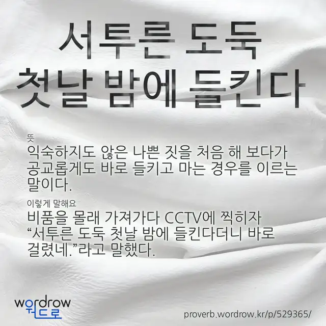 “서투른 도둑 첫날 밤에 들킨다” 글씨와 뜻·예문이 완성된 속담 영상 포스터