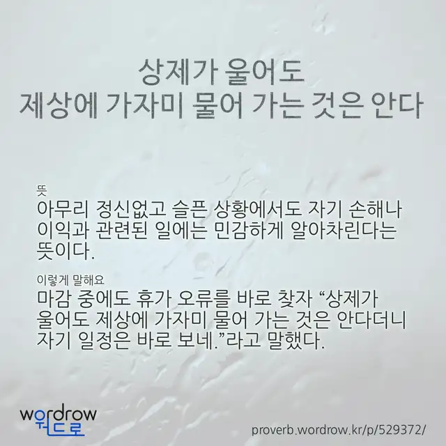 “상제가 울어도 제상에 가자미 물어 가는 것은 안다” 글씨와 뜻·예문이 완성된 속담 영상 포스터