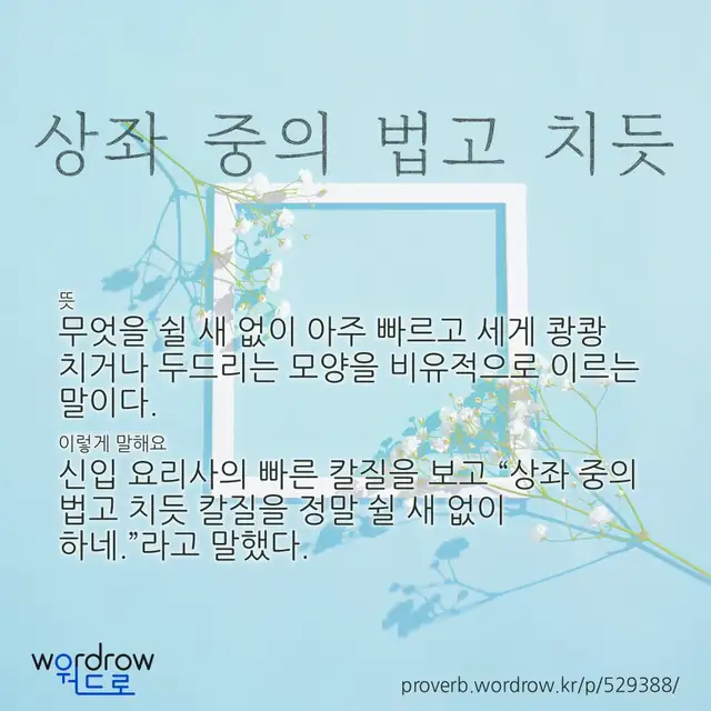 “상좌 중의 법고 치듯” 글씨와 뜻·예문이 완성된 속담 영상 포스터