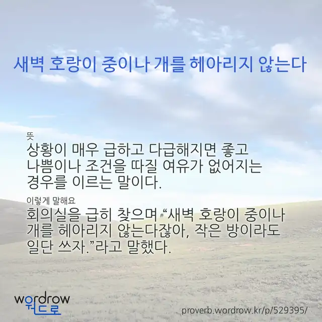 “새벽 호랑이 중이나 개를 헤아리지 않는다” 글씨와 뜻·예문이 완성된 속담 영상 포스터