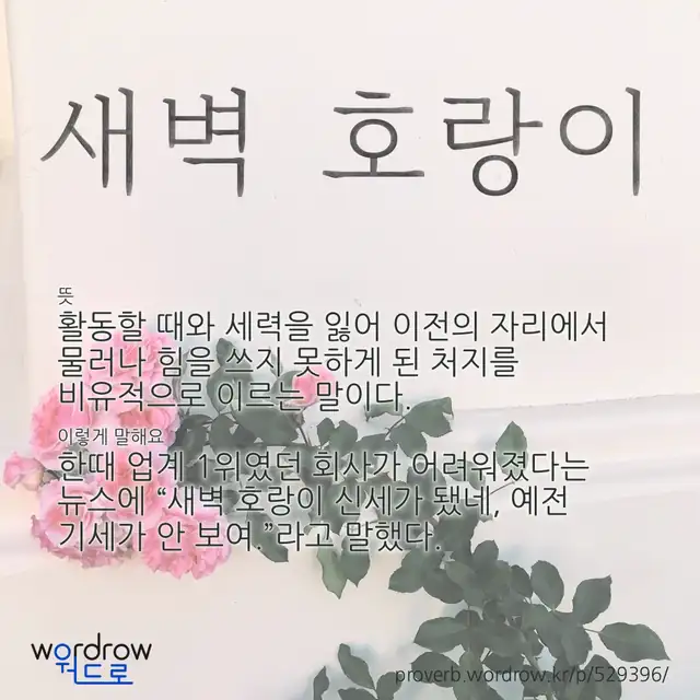 “새벽 호랑이” 글씨와 뜻·예문이 완성된 속담 영상 포스터