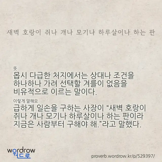 “새벽 호랑이 쥐나 개나 모기나 하루살이나 하는 판” 글씨와 뜻·예문이 완성된 속담 영상 포스터