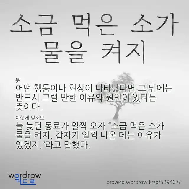 “소금 먹은 소가 물을 켜지” 글씨와 뜻·예문이 완성된 속담 영상 포스터
