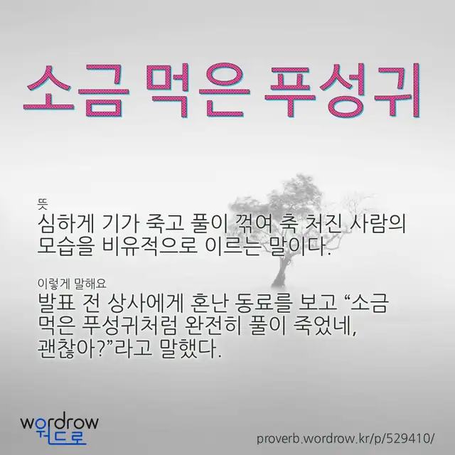 “소금 먹은 푸성귀” 글씨와 뜻·예문이 완성된 속담 영상 포스터