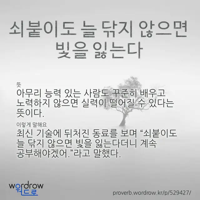 “쇠붙이도 늘 닦지 않으면 빛을 잃는다” 글씨와 뜻·예문이 완성된 속담 영상 포스터