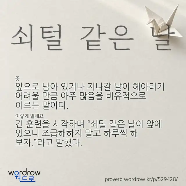 “쇠털 같은 날” 글씨와 뜻·예문이 완성된 속담 영상 포스터