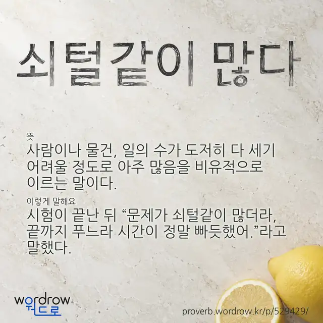 “쇠털같이 많다” 글씨와 뜻·예문이 완성된 속담 영상 포스터