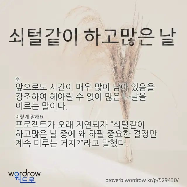 “쇠털같이 하고많은 날” 글씨와 뜻·예문이 완성된 속담 영상 포스터