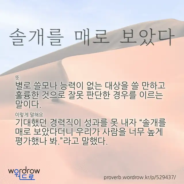 “솔개를 매로 보았다” 글씨와 뜻·예문이 완성된 속담 영상 포스터