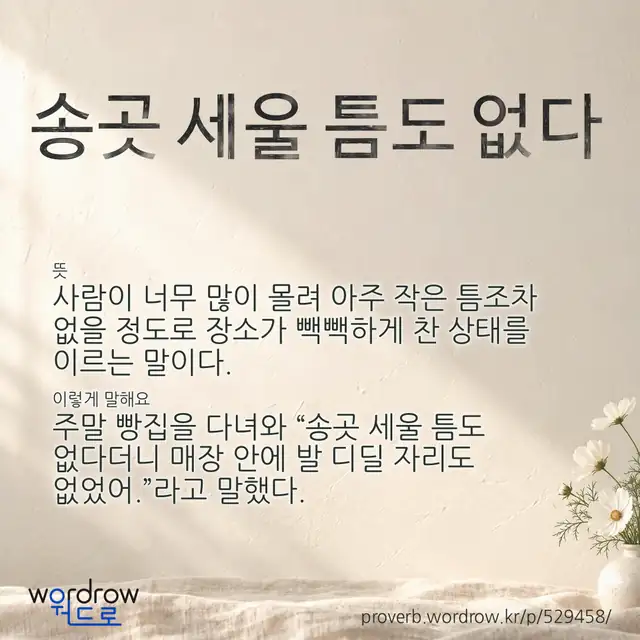 “송곳 세울 틈도 없다” 글씨와 뜻·예문이 완성된 속담 영상 포스터
