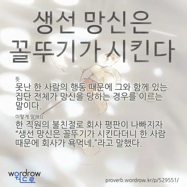 “생선 망신은 꼴뚜기가 시킨다” 글씨와 뜻·예문이 완성된 속담 영상 포스터