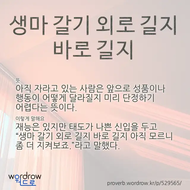 “생마 갈기 외로 길지 바로 길지” 글씨와 뜻·예문이 완성된 속담 영상 포스터