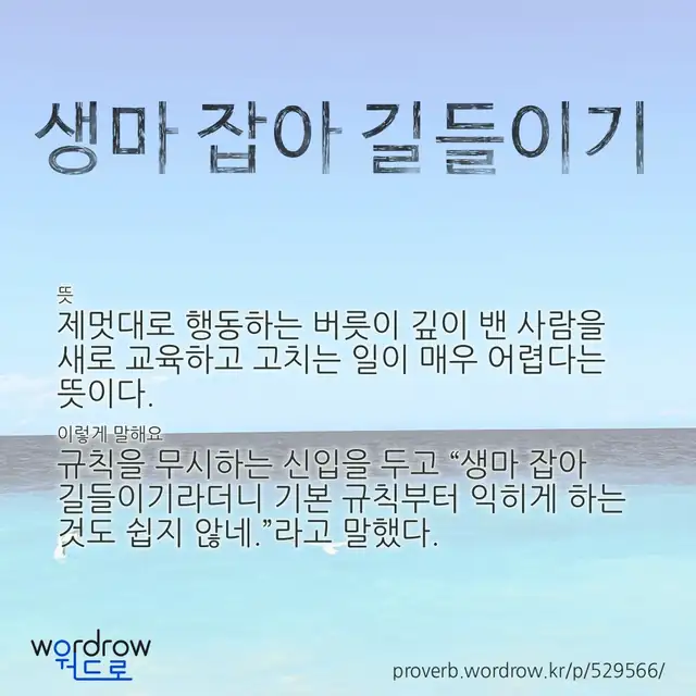 “생마 잡아 길들이기” 글씨와 뜻·예문이 완성된 속담 영상 포스터