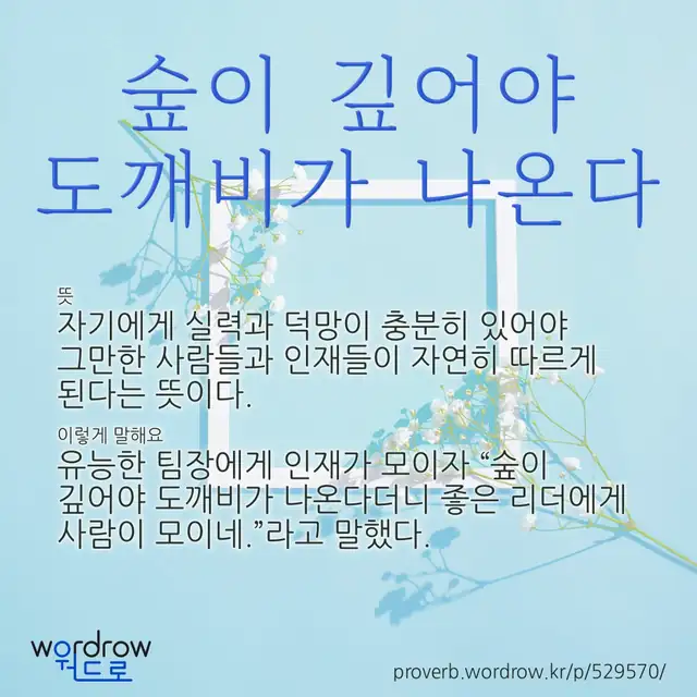“숲이 깊어야 도깨비가 나온다” 글씨와 뜻·예문이 완성된 속담 영상 포스터