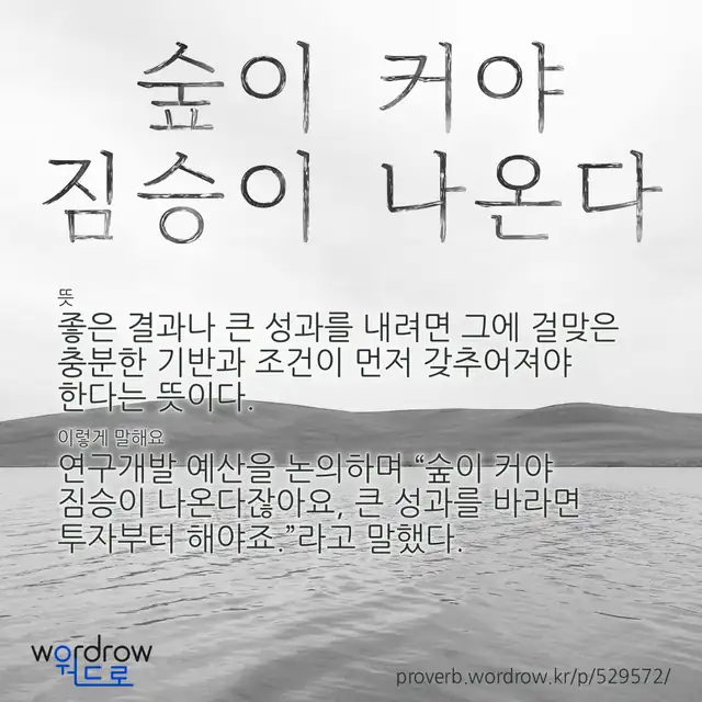 “숲이 커야 짐승이 나온다” 글씨와 뜻·예문이 완성된 속담 영상 포스터