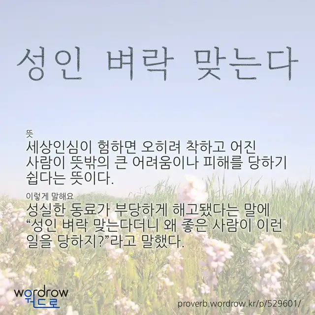 “성인 벼락 맞는다” 글씨와 뜻·예문이 완성된 속담 영상 포스터