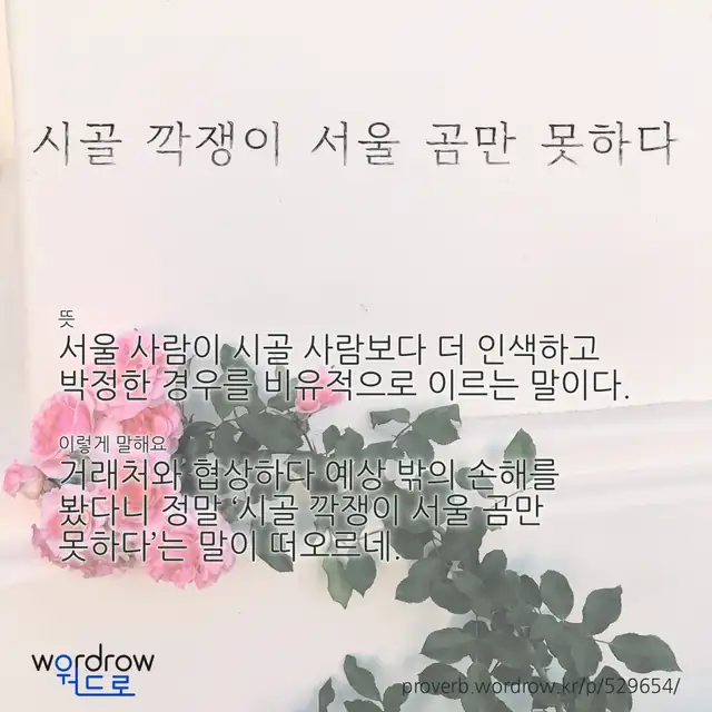 “시골 깍쟁이 서울 곰만 못하다” 글씨와 뜻·예문이 완성된 속담 영상 포스터