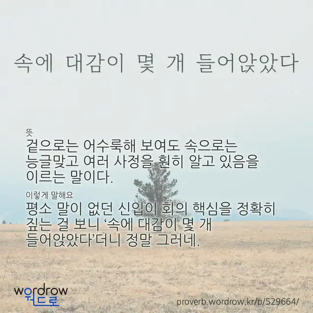 “속에 대감이 몇 개 들어앉았다” 글씨와 뜻·예문이 완성된 속담 영상 포스터