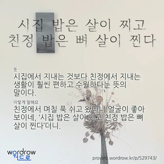 “시집 밥은 살이 찌고 친정 밥은 뼈 살이 찐다” 글씨와 뜻·예문이 완성된 속담 영상 포스터