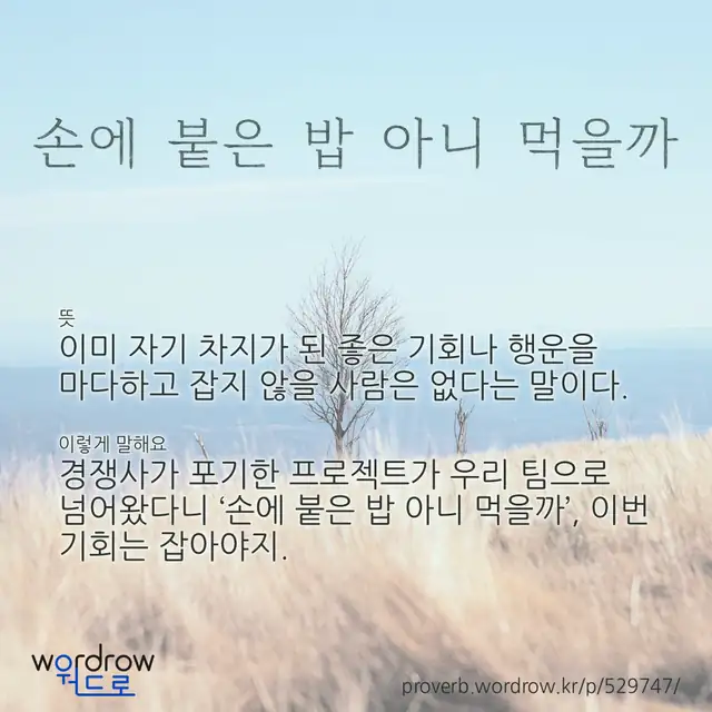 “손에 붙은 밥 아니 먹을까” 글씨와 뜻·예문이 완성된 속담 영상 포스터