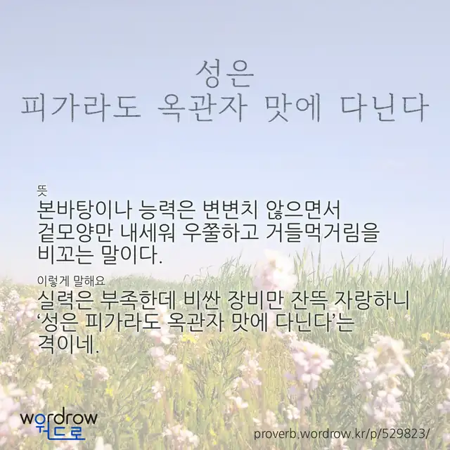 “성은 피가라도 옥관자 맛에 다닌다” 글씨와 뜻·예문이 완성된 속담 영상 포스터
