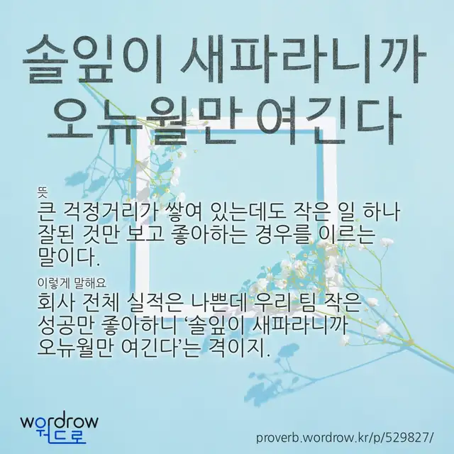 “솔잎이 새파라니까 오뉴월만 여긴다” 글씨와 뜻·예문이 완성된 속담 영상 포스터