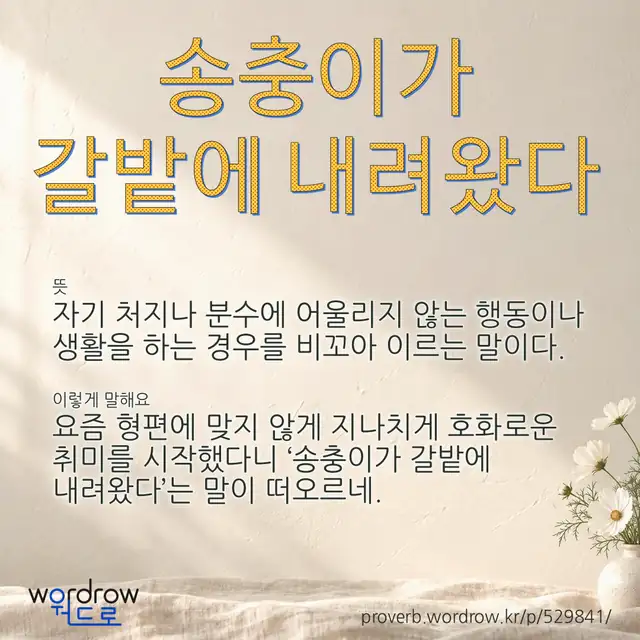 “송충이가 갈밭에 내려왔다” 글씨와 뜻·예문이 완성된 속담 영상 포스터