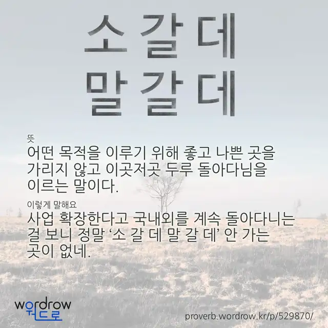 “소 갈 데 말 갈 데” 글씨와 뜻·예문이 완성된 속담 영상 포스터
