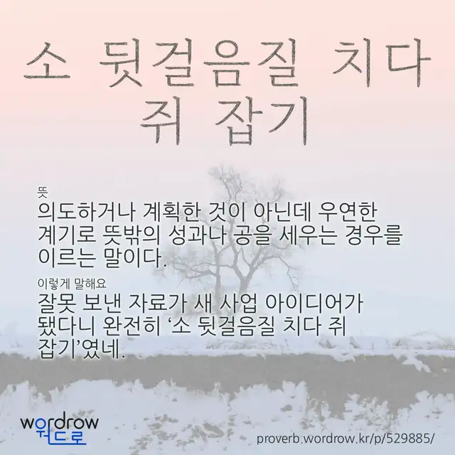 “소 뒷걸음질 치다 쥐 잡기” 글씨와 뜻·예문이 완성된 속담 영상 포스터