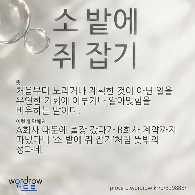 “소 밭에 쥐 잡기” 글씨와 뜻·예문이 완성된 속담 영상 포스터
